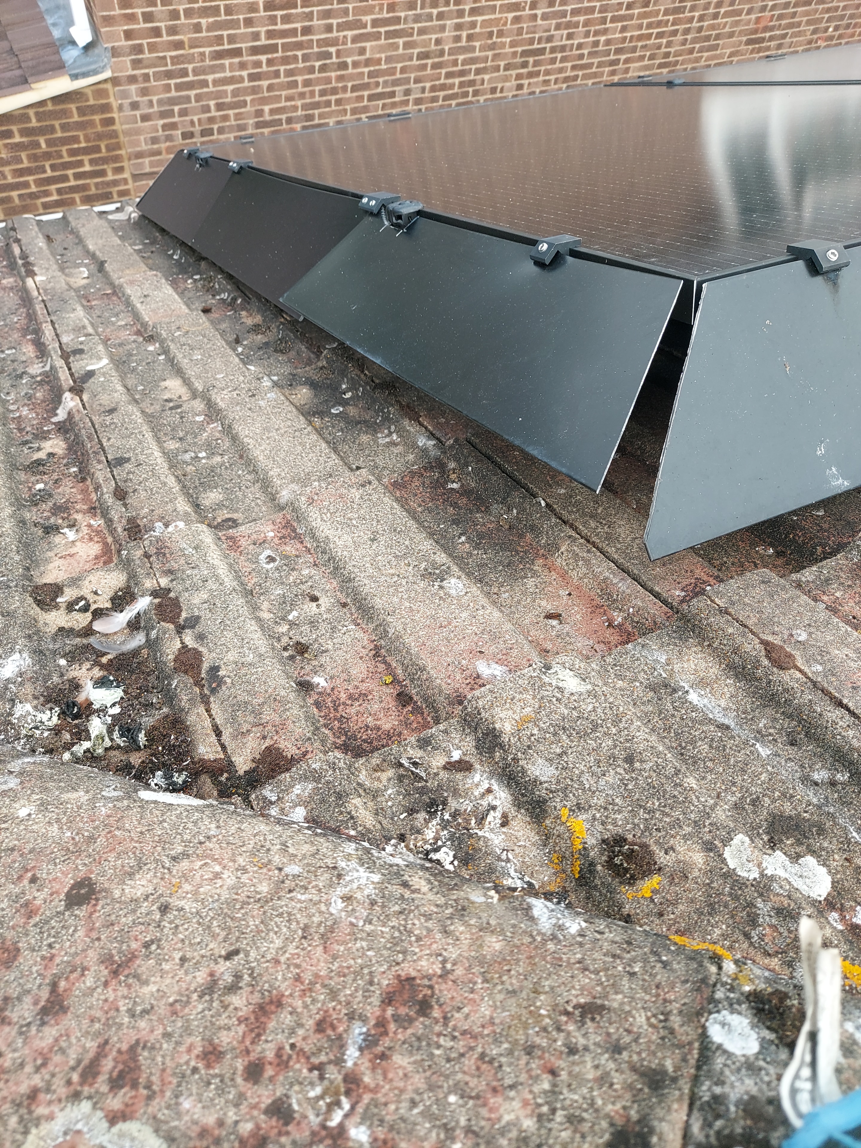 Solar panels and roof condition inspection showing bird damage and debris